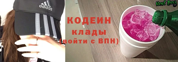 молекула духа Гатчина