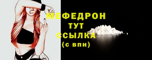 молекула духа Гатчина