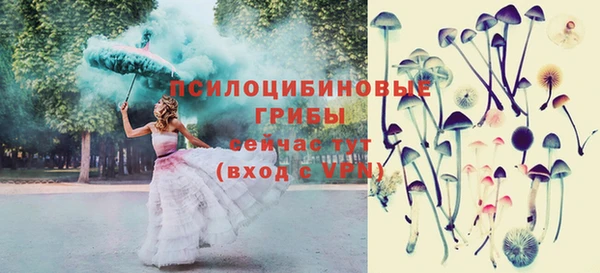 трава Инсар