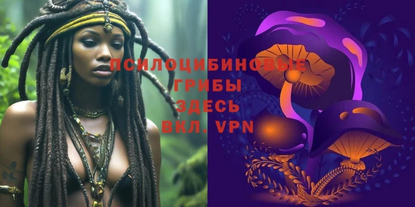 трава Инсар