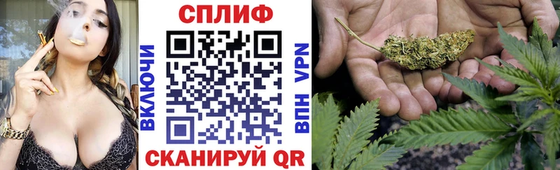 Шишки марихуана THC 21%  дарк нет наркотические препараты  Истра 